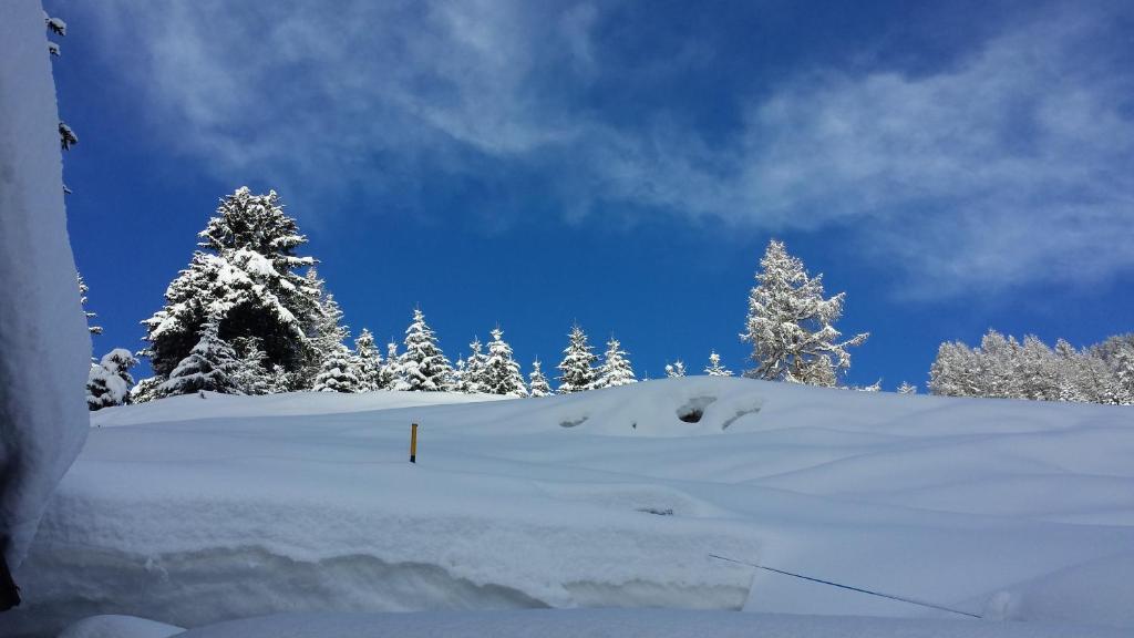 Family Apartments Le Chalet Champoluc Buitenkant foto