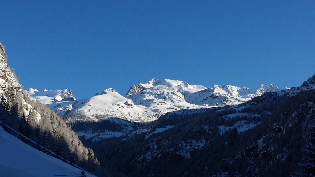 Family Apartments Le Chalet Champoluc Buitenkant foto