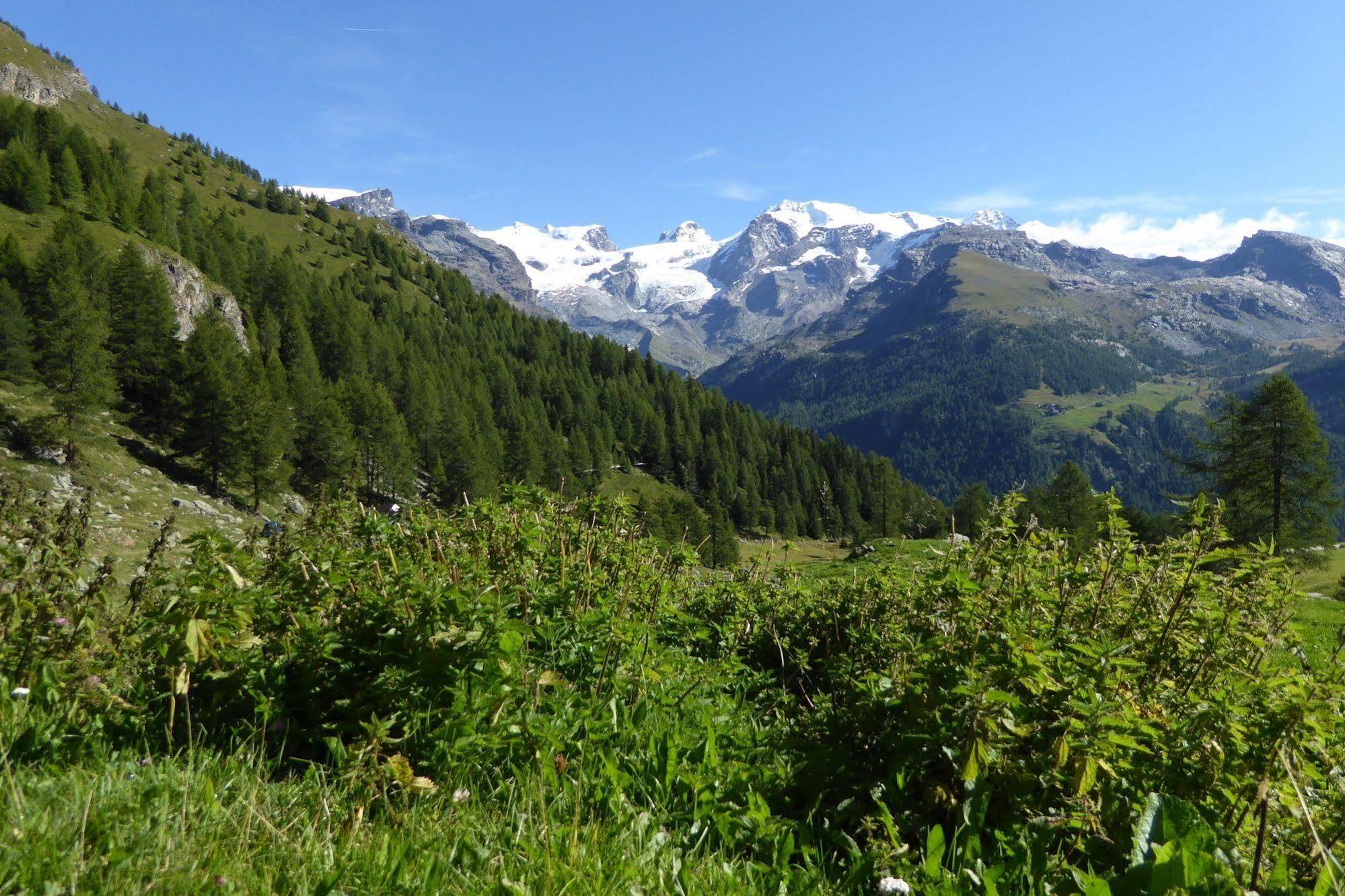 Family Apartments Le Chalet Champoluc Buitenkant foto