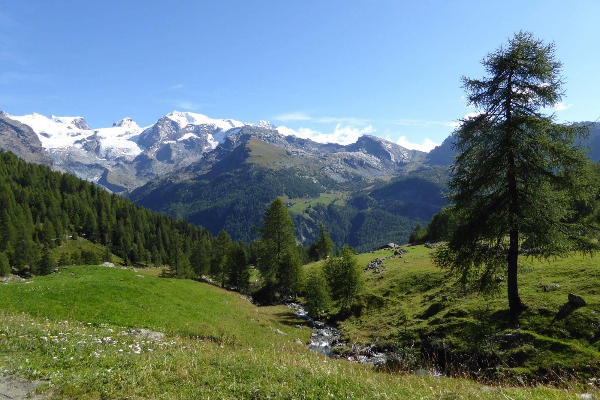 Family Apartments Le Chalet Champoluc Buitenkant foto